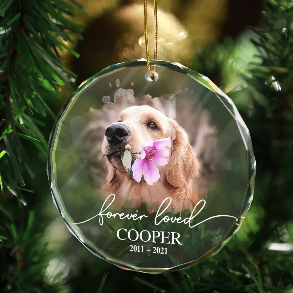 Pet Lovers, Memorial - Custom Photo Memorial Pet Forever Loved - Personalized Circle Glass Ornament