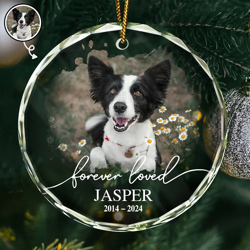Custom Photo Forever Loved Pet Memorial - Personalized Circle Glass Ornament