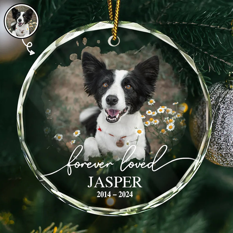 Pet Lovers, Memorial - Custom Photo Memorial Pet Forever Loved - Personalized Circle Glass Ornament