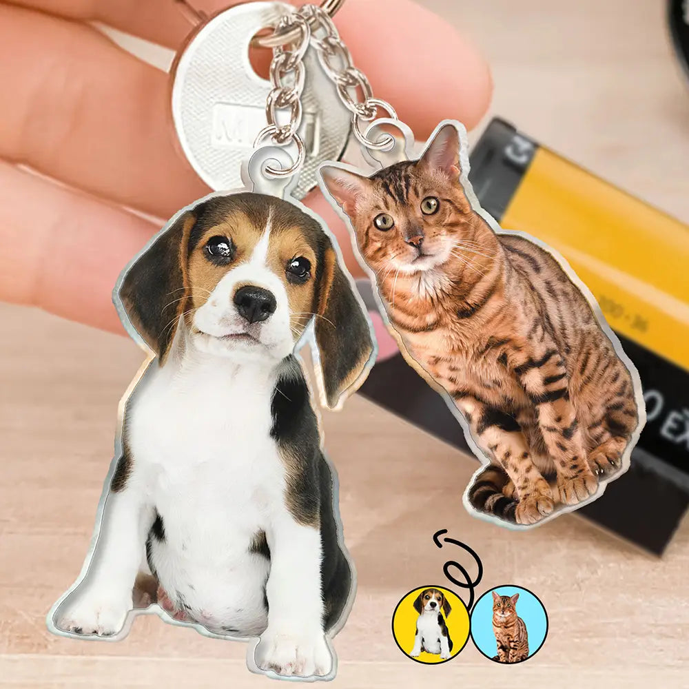 Custom Photo Every Day Is Brighter With My Furry Friend By My Side - Personalized Cutout Acrylic Keychain