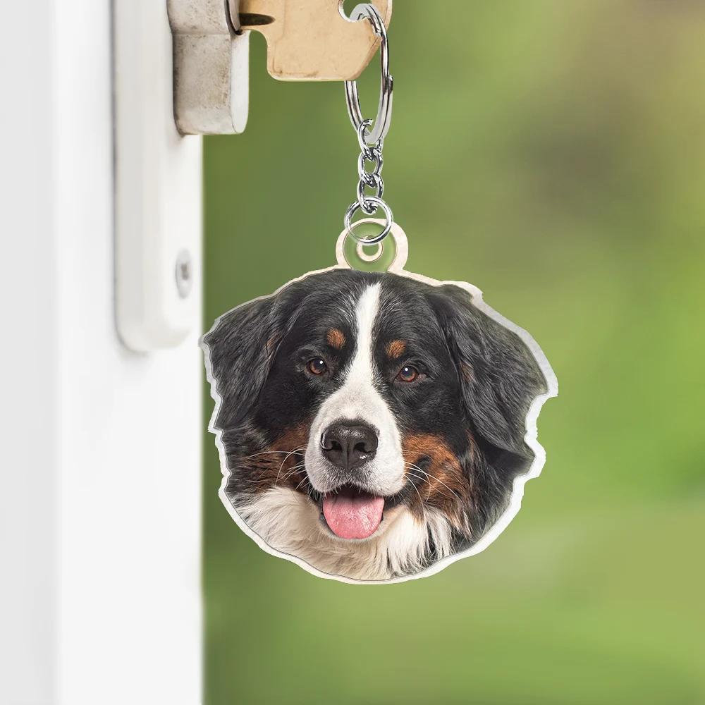 Pet Lovers, Dog Lovers, Cat Lovers - Custom Photo You Are My Sunshine - Personalized Cutout Acrylic Keychain