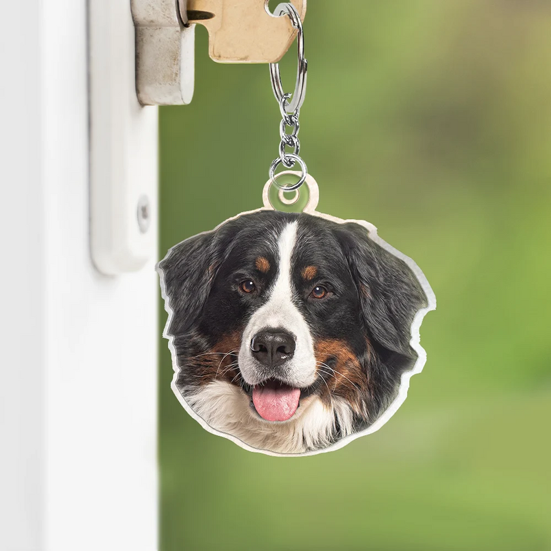 Pet Lovers, Dog Lovers, Cat Lovers - Custom Photo You Are My Sunshine - Personalized Cutout Acrylic Keychain