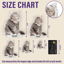 Pet Lovers, Dog Lovers, Cat Lovers - Custom Photo Adorable Dog Cat With Name - Personalized Acrylic Fridge Magnet