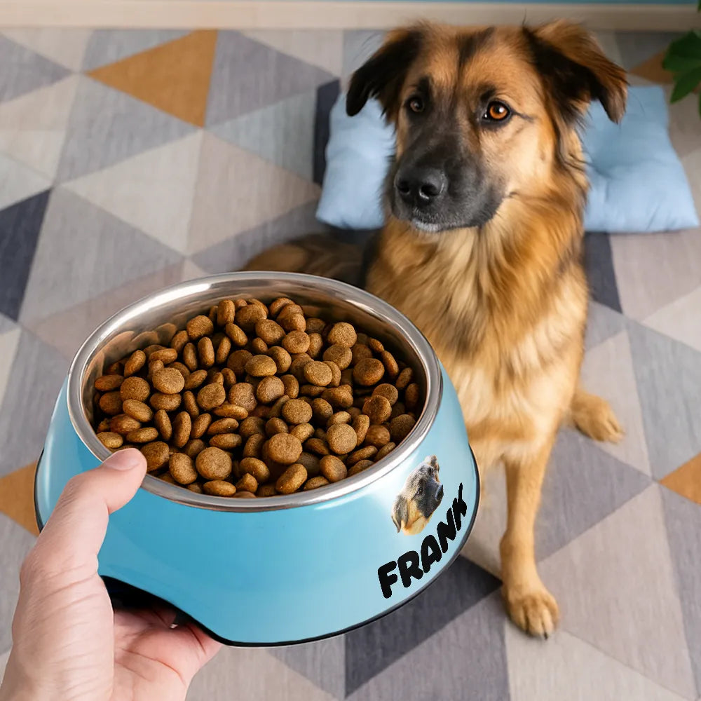 Pet Lovers,Happy,Cat Lovers,Dog Lovers-Custom Photo Adorable Dog Cat With Name - Personalized Removable Stainless Steel Pet Bowl