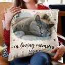 Pet Lovers, Cat Lovers, Dog Lovers, Sad, Memorial - Custom Photo Forever Loved Memorial Dog Cat Family - Personalized Pillow
