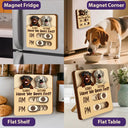Dog Lovers,Pet Lovers,Cat Lovers - Cute Dog Cat Food Medicine Tracker - Personalized Pet Feeding Tracker Magnet