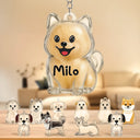 Sad,Memorial,Dog Lovers-Dog Memorial Keepsake With Custom Name - Personalized Dog Hair Collector Keychain Bag Charm Memorial Storage Box