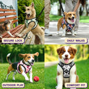 Classic Argyle Check With Paw And Name - Personalized Dog Harness Vest And Leash Set