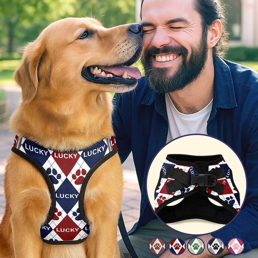 Classic Argyle Check With Paw And Name - Personalized Dog Harness Vest And Leash Set