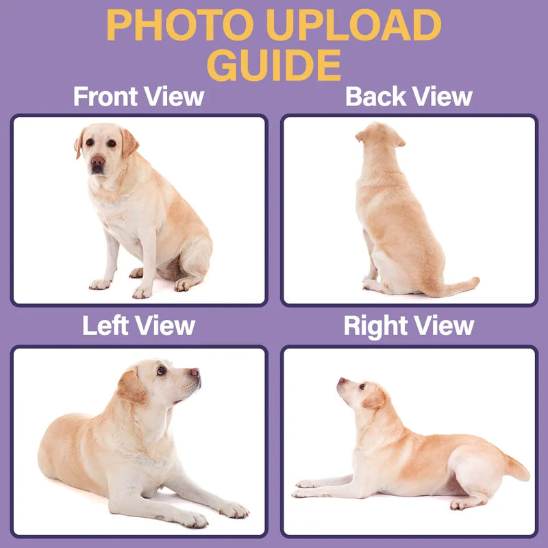 Dog Lovers,Dog Mom,Dog Dad,Pet Lovers,Pet Mom,Pet Dad,Love - Full Body Dog Keepsake - Personalized Brick Figure