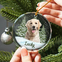 Custom Photo Pet Face - Pet Memorial - Personalized Circle Glass Ornament