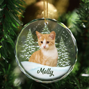 Custom Photo Pet Face - Pet Memorial - Personalized Circle Glass Ornament