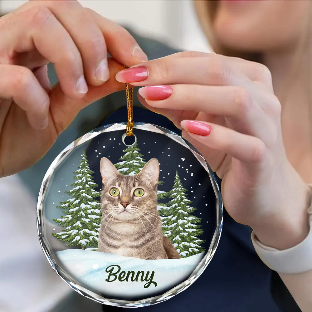 Custom Photo Pet Face - Pet Memorial - Personalized Circle Glass Ornament