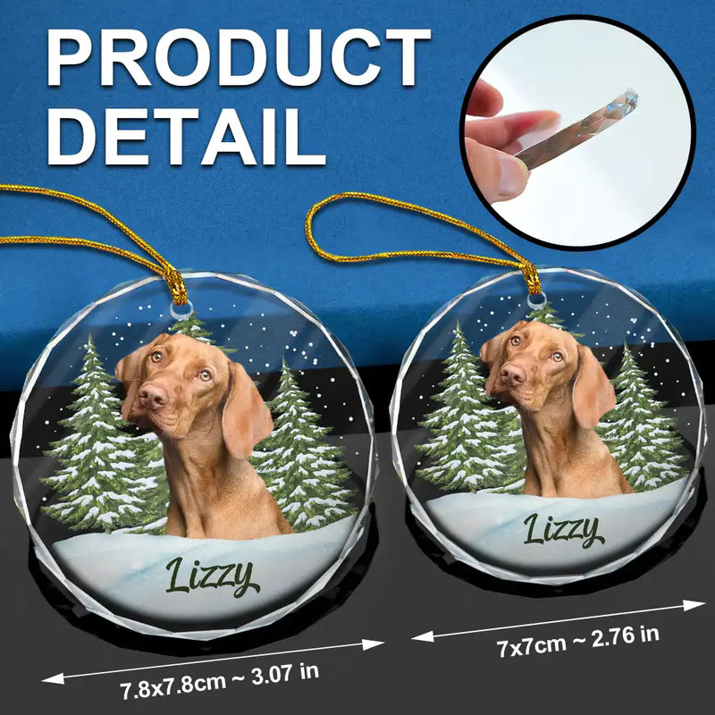 Custom Photo Pet Face - Pet Memorial - Personalized Circle Glass Ornament