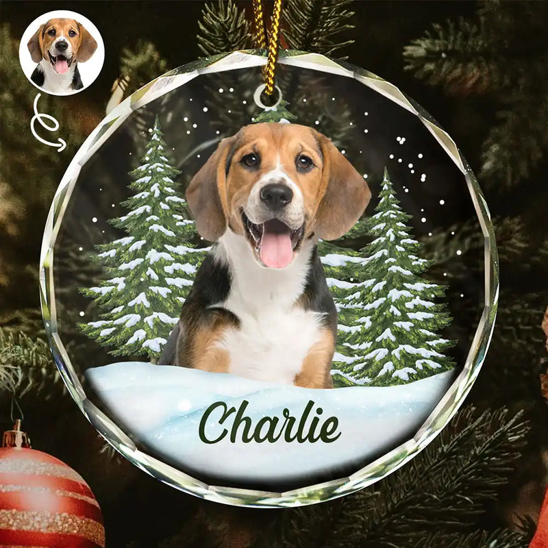 Custom Photo Pet Face - Pet Memorial - Personalized Circle Glass Ornament