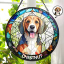 Custom Photo Dog And Cat Family Portrait - Personalized Stained Glass Window Hanging Suncatcher