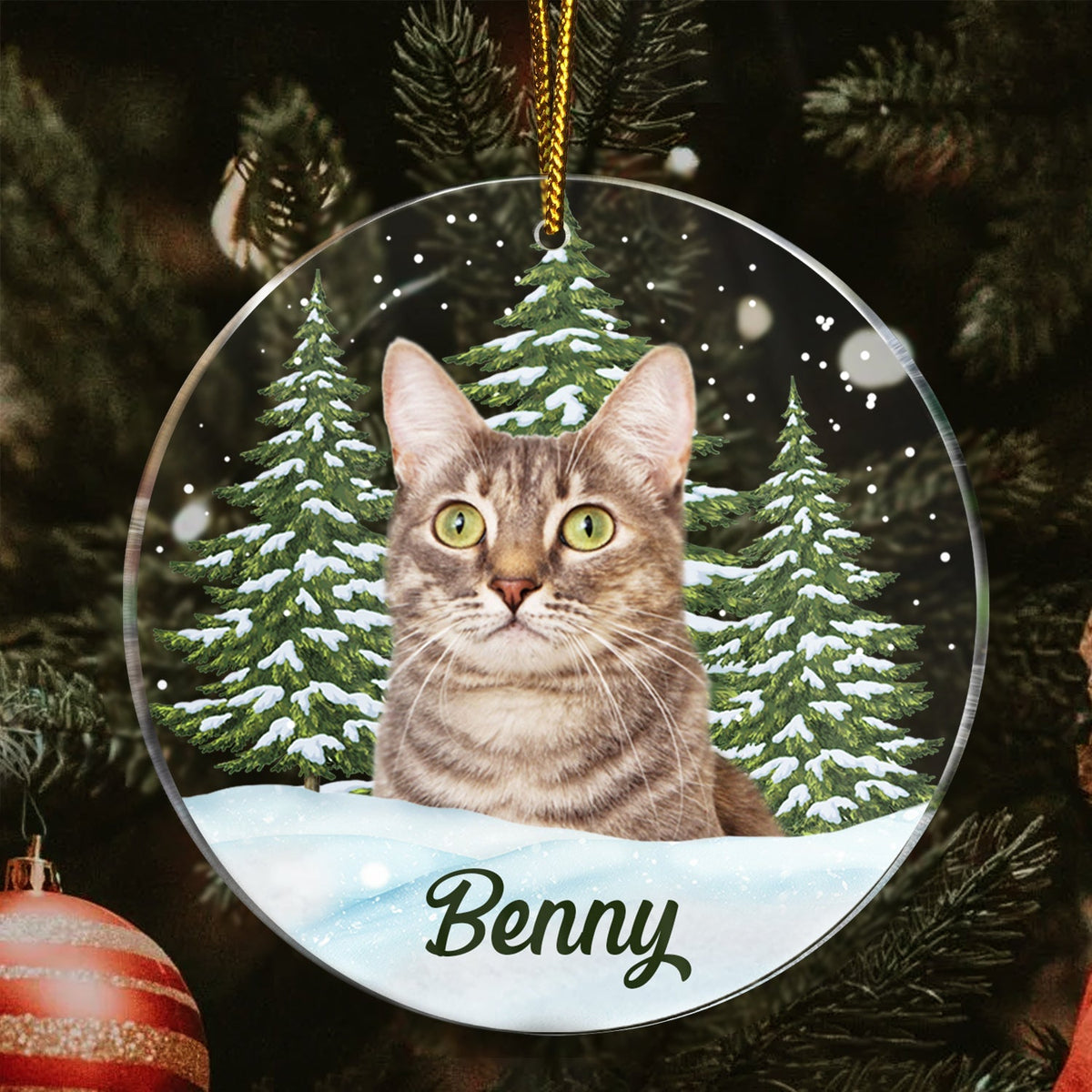 Custom Photo Pet Face - Christmas Gift For Pet Lovers, Pet Memorial - Personalized Circle Acrylic Ornament