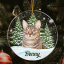Custom Photo Pet Face - Christmas Gift For Pet Lovers, Pet Memorial - Personalized Circle Acrylic Ornament