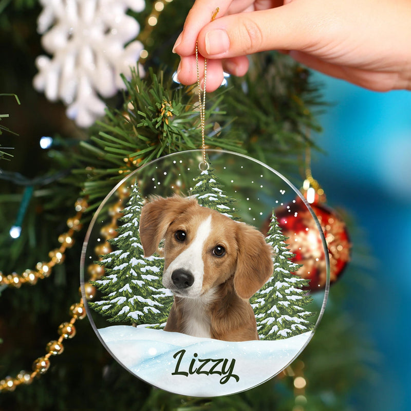Custom Photo Pet Face - Christmas Gift For Pet Lovers, Pet Memorial - Personalized Circle Acrylic Ornament