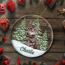 Custom Photo Pet Face - Christmas Gift For Pet Lovers, Pet Memorial - Personalized Circle Acrylic Ornament