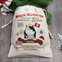 Special Delivery From Cute Santa Paws - Personalized Favor Bag