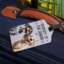 3D Effect Dogs Property Of My Human - Personalized Luggage Tag