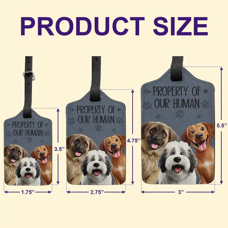 3D Effect Dogs Property Of My Human - Personalized Luggage Tag