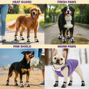 Paw Heart Pattern - Personalized Dog Shoes