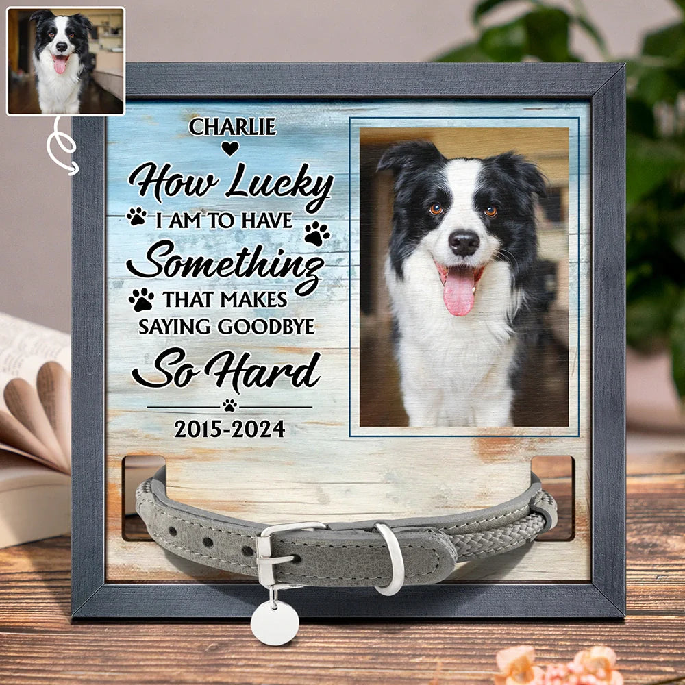 Custom Photo How Lucky I Am Dog Cat Pet Memorial - Personalized Pet Loss Sign, Collar Frame
