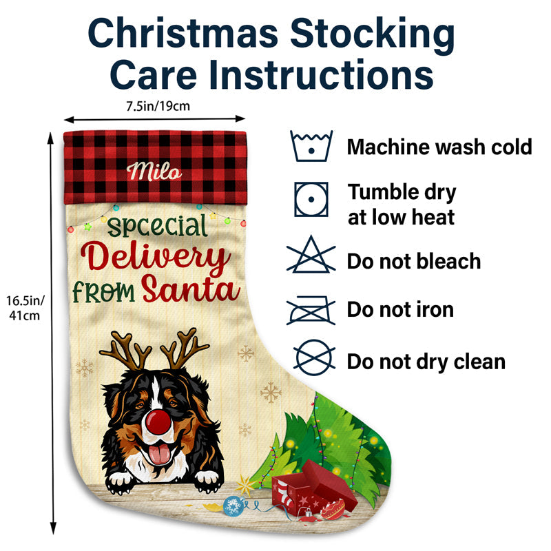 On The Naughty List And I Regret Nothing Pet - Personalized Custom Christmas Stocking