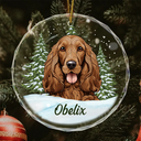 Best Friend For Life Christmas Pet Memorial - Personalized Circle Glass Ornament